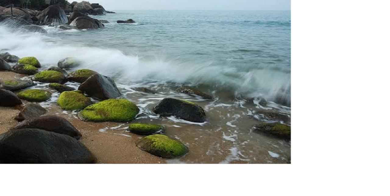 Da Nang Minh Hai Eksteriør bilde