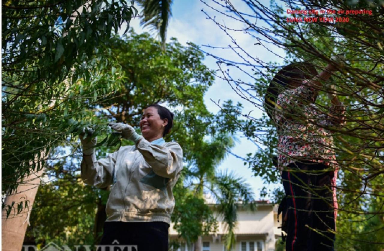 Da Nang Minh Hai Eksteriør bilde